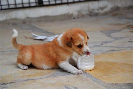 Тунис - путешествие в Сахару