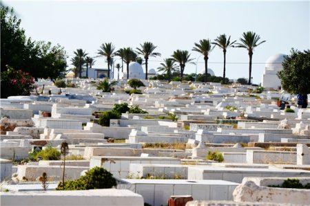 Тунис - путешествие в Сахару