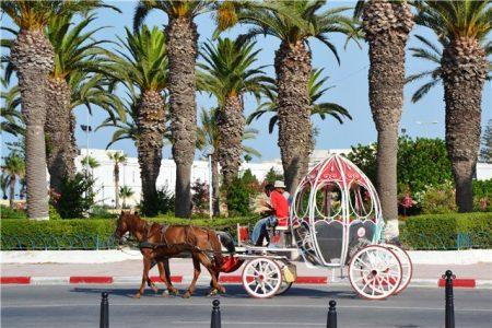 Тунис - путешествие в Сахару