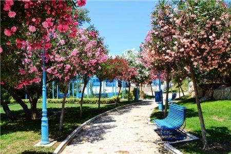 Тунис - путешествие в Сахару