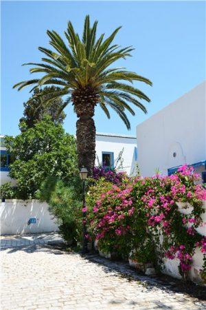 Тунис - путешествие в Сахару