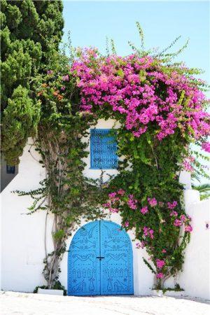 Тунис - путешествие в Сахару