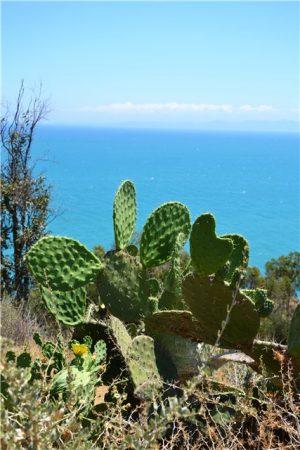 Тунис - путешествие в Сахару