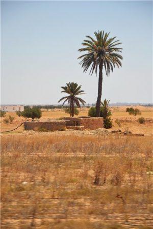 Тунис - путешествие в Сахару