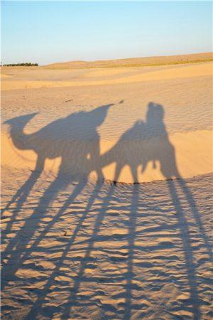 Тунис - путешествие в Сахару