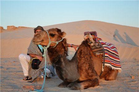 Тунис - путешествие в Сахару