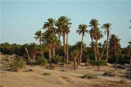 Тунис - путешествие в Сахару