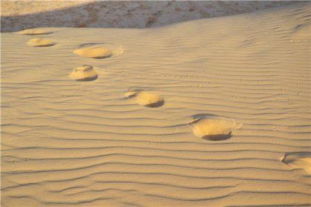 Тунис - путешествие в Сахару