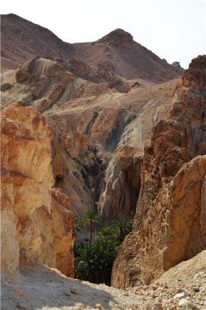 Тунис - путешествие в Сахару