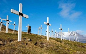 Город, где запрещено умирать Город, где запрещено умирать