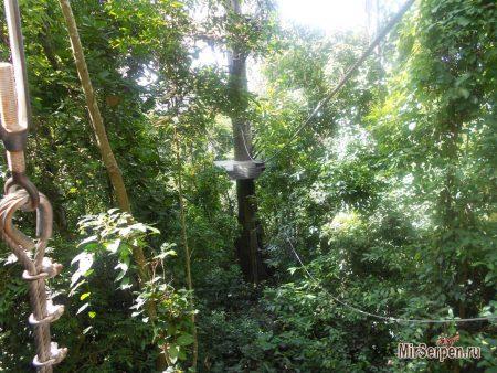 Flight of the Gibbon / Полет Гиббона: Прыжки по деревьям над джунглями Flight of the Gibbon / Полет Гиббона: Прыжки по деревьям над джунглями