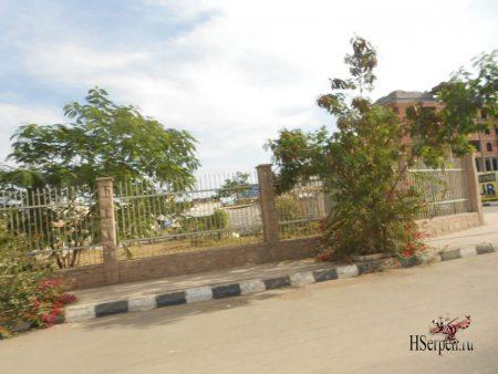 Поездка по Луксору в январе 2013