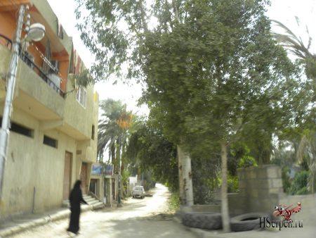 Поездка по Луксору в январе 2013