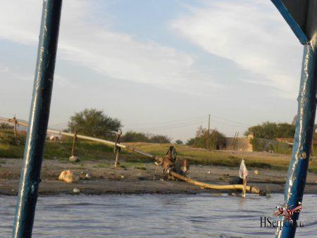 Великая река Нил в Луксоре