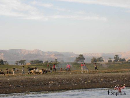 Великая река Нил в Луксоре