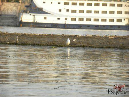 Великая река Нил в Луксоре