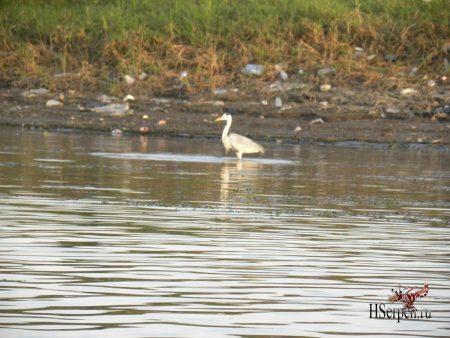 Великая река Нил в Луксоре