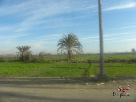 Поездка по Луксору в январе 2013