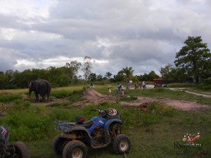 Бережное отношение к слонам в Таиланде