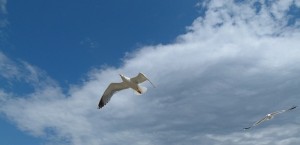 Путешествие в Румынию