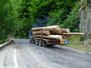 Путешествие в Румынию Путешествие в Румынию