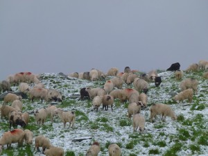 Путешествие в Румынию