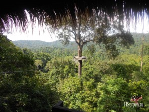 Где наша не пропадала: план на 2013 Где наша не пропадала: план на 2013