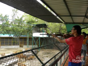 Охота на тигров в Sriracha Tiger Zoo Охота на тигров в Sriracha Tiger Zoo