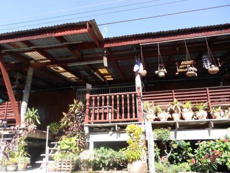 Плавучий рынок Damnoen Saduak, Бангкок