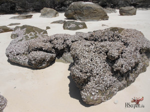 Семейный отдых в Паттайе: миф или реальность? Семейный отдых в Паттайе: миф или реальность?