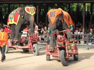 Отзыв об отдыхе в Бангкоке и Паттайе, Таиланд. Сентябрь 2009