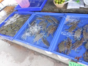 Где в Таиланде можно поесть аутентичную еду? Конечно SeaFood!