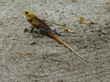 Отдых на Мальдивах в октябре 2013