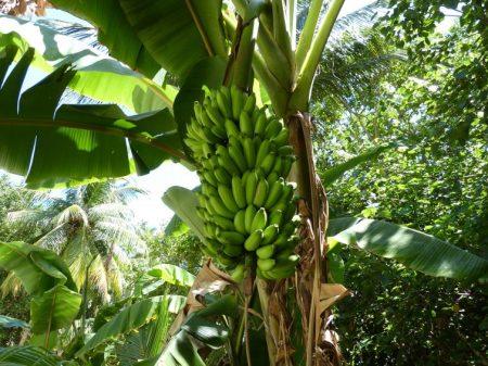 Отдых на Мальдивах в октябре 2013