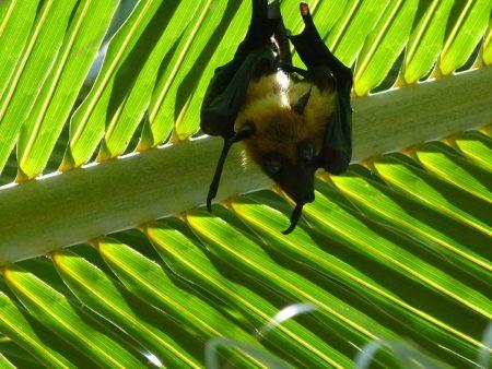 Отдых на Мальдивах в октябре 2013