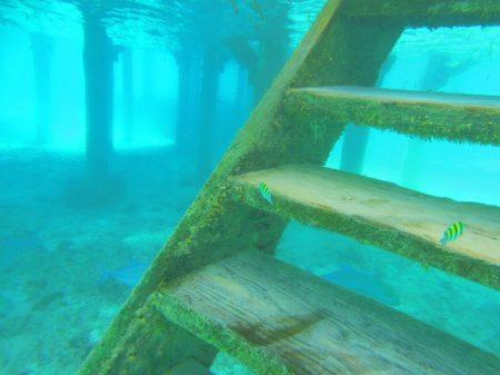 Отдых на Мальдивах в октябре 2013