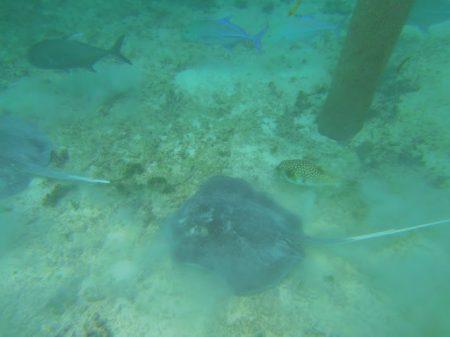 Отдых на Мальдивах в октябре 2013