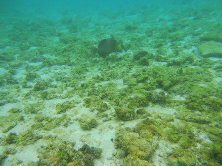 Отдых на Мальдивах в октябре 2013