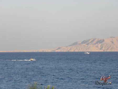 Дикая красота Египта Дикая красота Египта