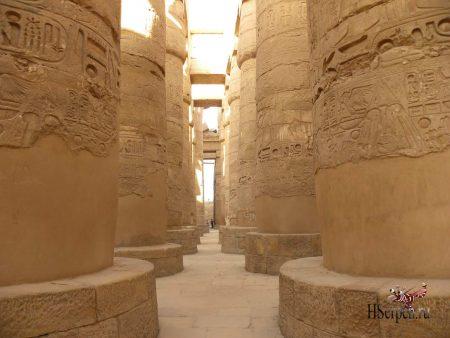 Дикая красота Египта Дикая красота Египта