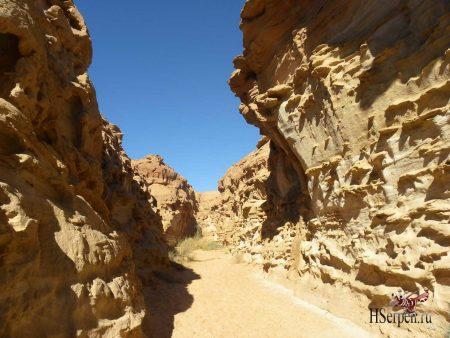 Дикая красота Египта Дикая красота Египта