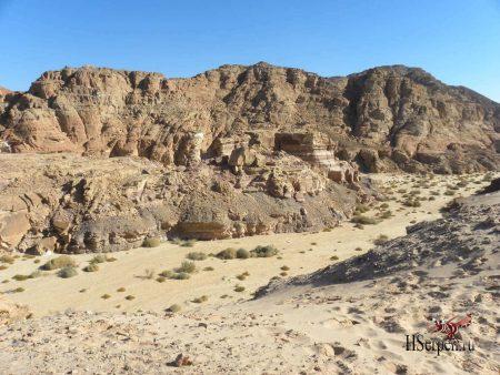 Дикая красота Египта Дикая красота Египта