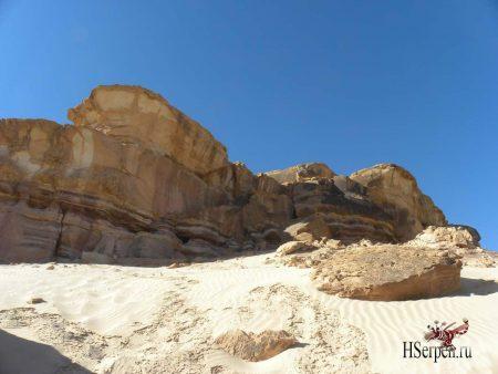 Дикая красота Египта Дикая красота Египта