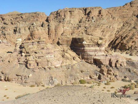 Дикая красота Египта Дикая красота Египта