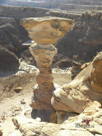 Дикая красота Египта Дикая красота Египта