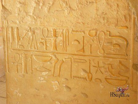 Дикая красота Египта Дикая красота Египта