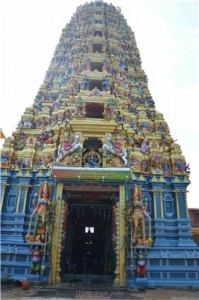 Путешествие на Шри-Ланку, ноябрь 2013, часть 2