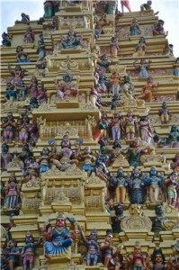 Путешествие на Шри-Ланку, ноябрь 2013, часть 2