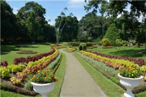 Путешествие на Шри-Ланку, ноябрь 2013, часть 2