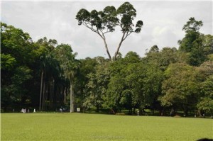 Путешествие на Шри-Ланку, ноябрь 2013, часть 2